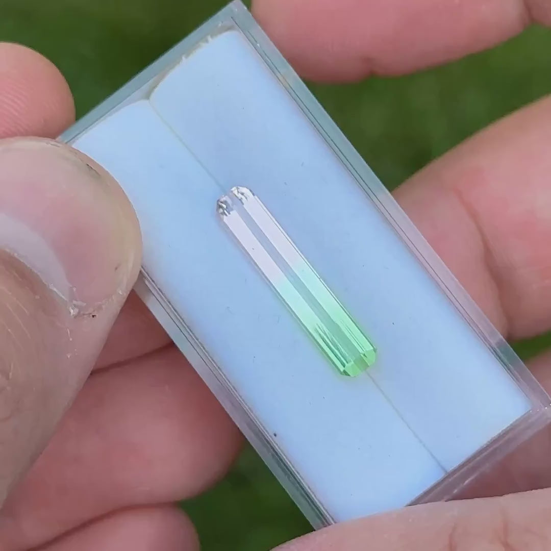 Watermelon Tourmaline (2.99ct)