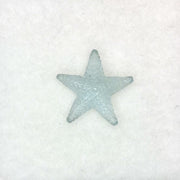 Aquamarine Starfish (3.39ct)