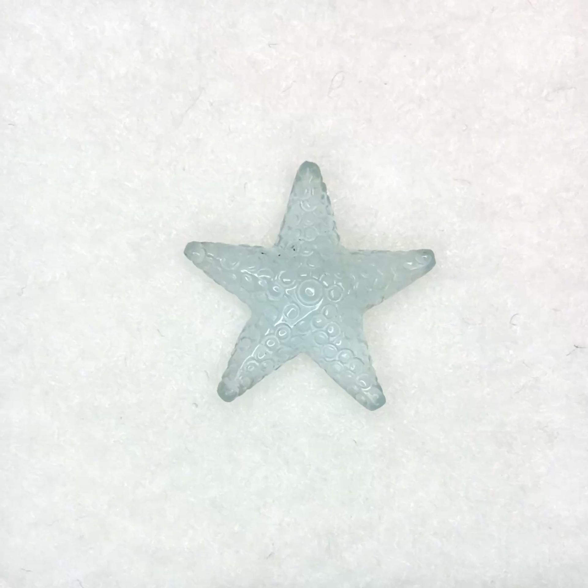 Aquamarine Starfish (3.39ct)
