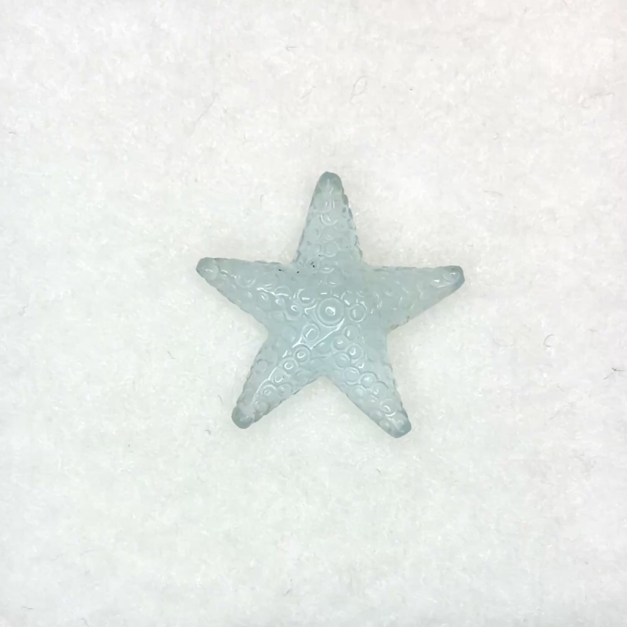 Aquamarine Starfish (3.39ct)