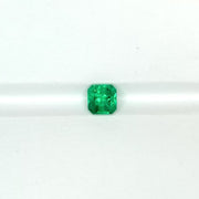 Rich Emerald (0.66ct)