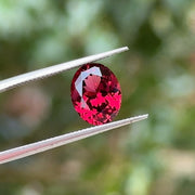 Garnet Oval 2.68cts