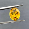 Yellow sapphire oval 1.95ct