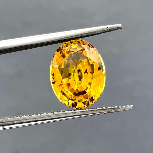 Yellow Sapphire (Oval 1.95ct)